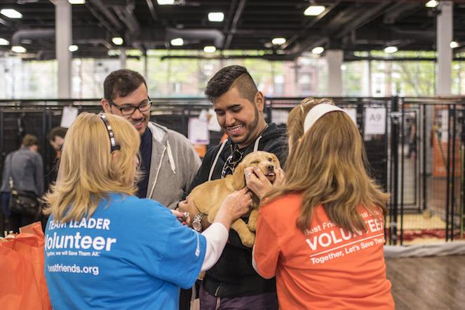 best friends adoption center